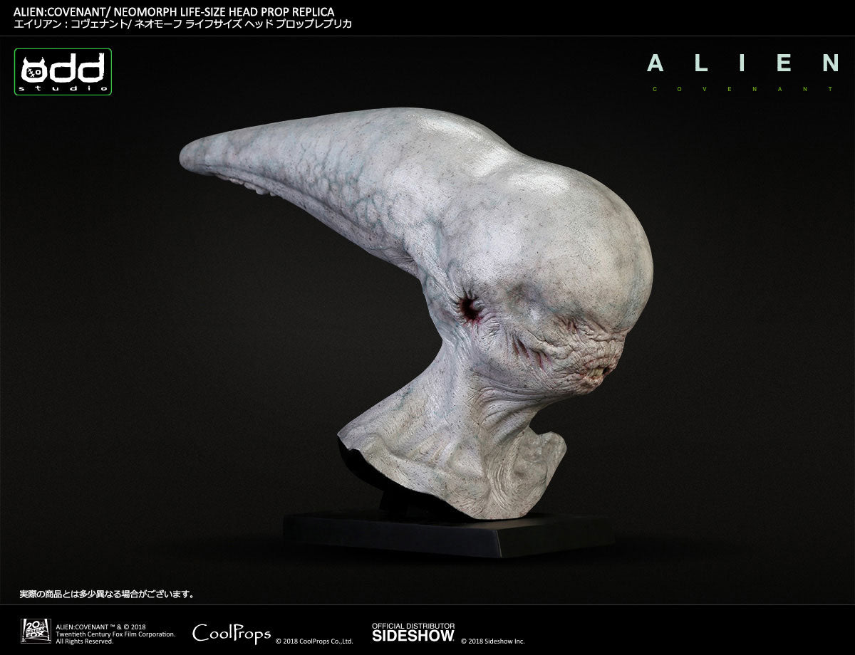 Sideshow Collectibles - Alien: Covenant - Neomorph Life-Size Head Prop Replica by CoolProps - Marvelous Toys