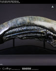 Sideshow Collectibles - CoolProps - Alien: Covenant - Xenomorph Life-Size Head Prop Replica - Marvelous Toys