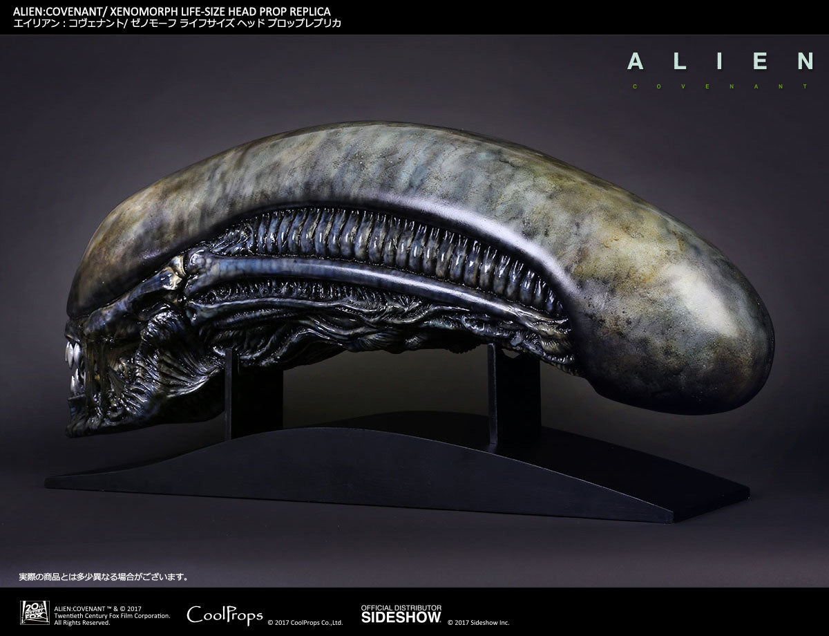Sideshow Collectibles - CoolProps - Alien: Covenant - Xenomorph Life-Size Head Prop Replica - Marvelous Toys