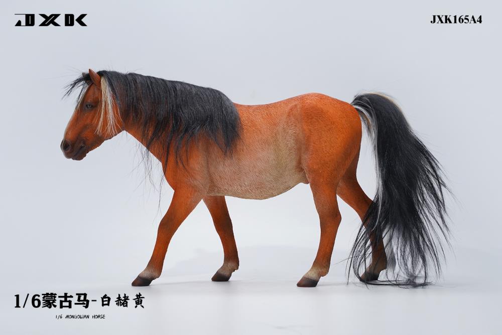JxK.Studio - JxK165A4 - Mongolian Horse (1/6 Scale)