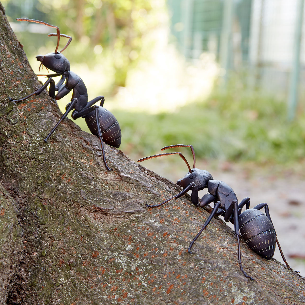 Kaiyodo - RevoGeo No. 09 - Japanese Carpenter Ants (Camponotus japonicus) (Set of 2) - Marvelous Toys