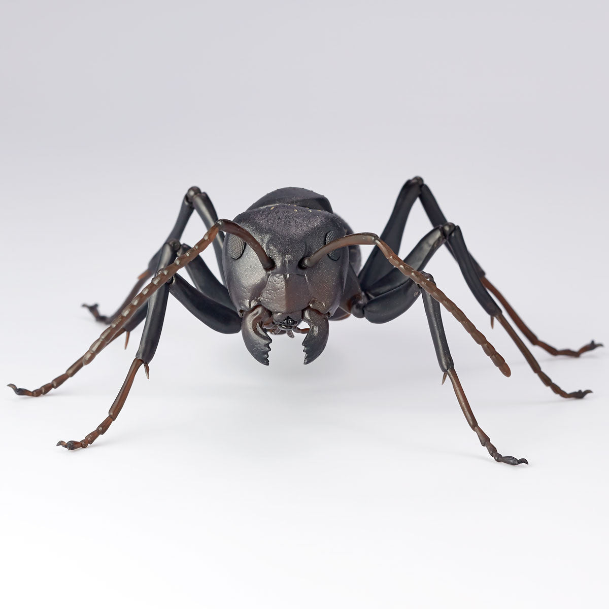 Kaiyodo - RevoGeo No. 09 - Japanese Carpenter Ants (Camponotus japonicus) (Set of 2)